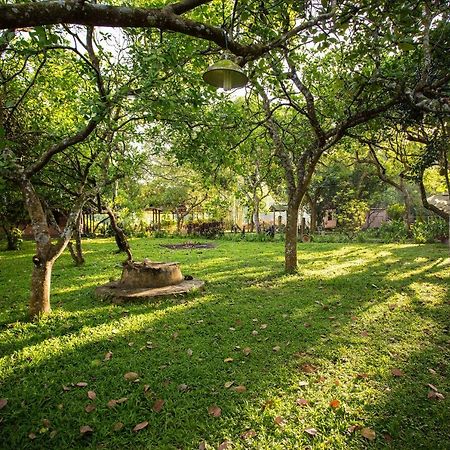 Cat Tien Farmstay Exterior photo