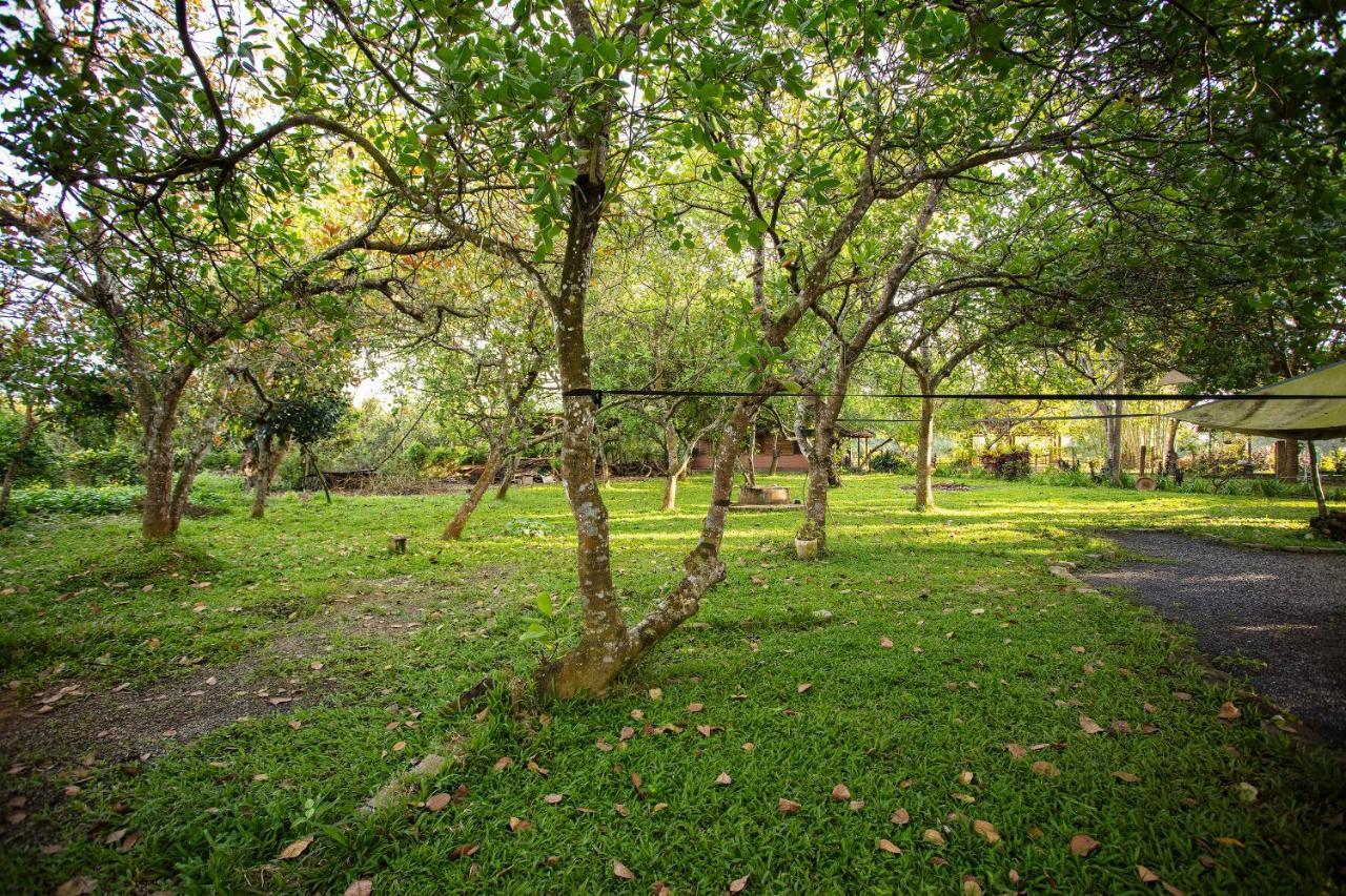 Cat Tien Farmstay Exterior photo